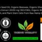 Thrive Vitality Hemp Salve ingredients label featuring organic hemp seed oil, beeswax, shea butter, 3000mg CBD/CBG, menthol crystals, magnesium oil, and plant stem cells. Includes gluten-free, non-GMO, and THC-free certifications with a QR code for lab test results.